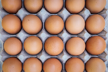 Photograph of Brown Eggs in a Carton