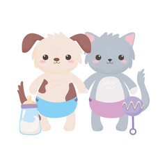 baby shower, cute dog and cat with diaper rattle and air balloon, celebration welcome newborn