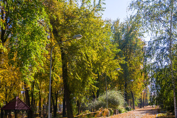Autumn urban landscape on a Sunny day - yellow autumn trees in the Park, colorful red and orange leaves, and bright sky with clouds