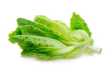 Fresh lettuce (baby cos) on white background