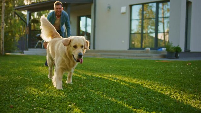Handsome Man Plays Catch flying disc with Happy Golden Retriever Dog on the Backyard Lawn. Man Has Fun with Loyal Pedigree Dog Outdoors in Summer House Backyard. Handheld Slow Motion Shot