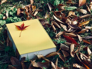 노란색 책과 가을낙엽, 단풍잎 
