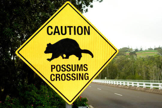 Caution: Possums crossing sign, Australia.