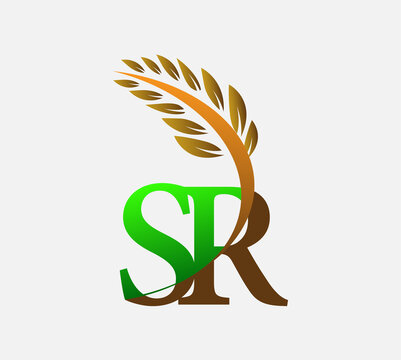SR Logo Design Vector Template