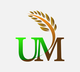 initial letter logo UM, Agriculture wheat Logo Template vector icon design colored green and brown.