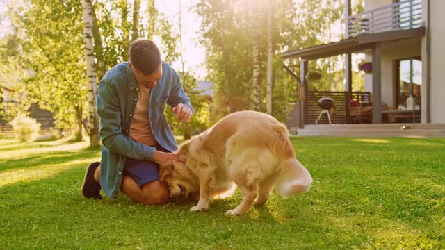 Handsome Young Man Wrestles with His Loyal Golden Retriever Dog, Scratches His Head, Cuddles, Plays with Man's Best Friend. Gorgeous Sunny day, Having Fun Outdoors