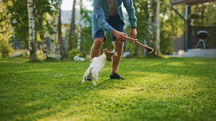 Man Plays with His Smooth Fox Terrier Dog Outdoors. He Pets and Teases His Puppy with His Favourite Toy. Idyllic Summer House. Slow Motion