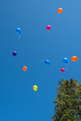 balloons in the sky on wedding