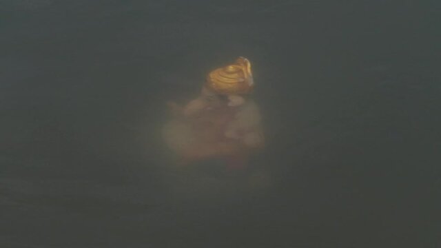 submerged ganpati Ganesh idol sitting at the bottom of a river