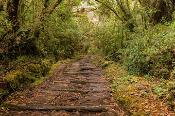 Barva volcano trails, Barva National Park, Costa Rica