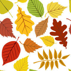 Seamless pattern. Bright autumn leaves on a white background.