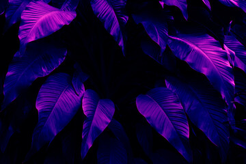 tropical leaves, purple neon night toned, dark nature background