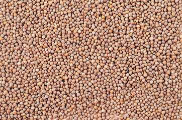 Perilla herb seeds.