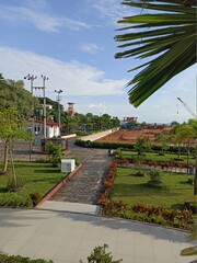 Obraz premium View of shady trees in a city park