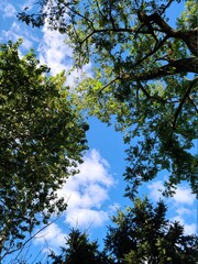 Nature, landscape , blue sky