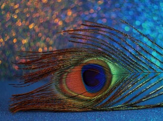 Extreme close up of a perfect peacock feather on a bright multicolored bokeh background fine art...