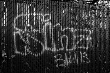 graffiti on a fence