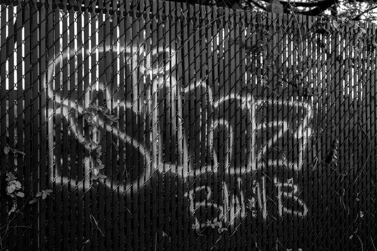 graffiti on a fence