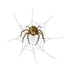 Cartoon spider in cobweb isolated on white background