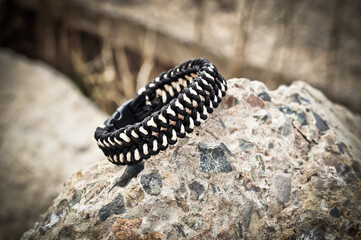 A braided paracord bracelet in black and white among the ruins