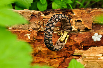 Braided paracord bracelet stitched brown on a log with a brass clasp