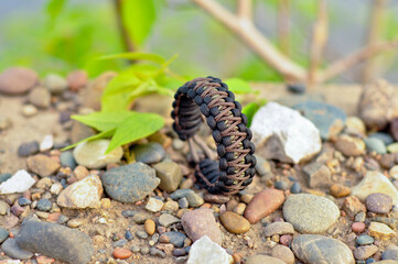 Braided paracord bracelet camouflage among stones and green grass