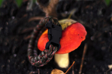 Braided paracord bracelet color camouflage military on hand with fastex lock on the ground among roots, stones and mushrooms