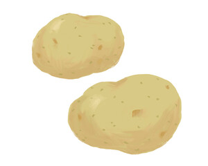 じゃがいも　potato　2個