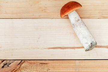 on a wooden Board lies one edible mushroom. the view from the top