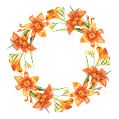 Flower background with orange lilies isolated on white background