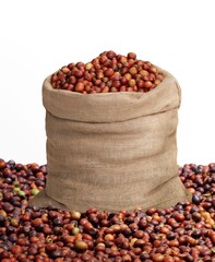 Isolated Coffee Cherry ground & Full Bag Gunny of Coffee Cherry 