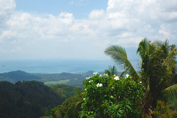 Fototapeta na wymiar sea and mountain views among tropical greenery
