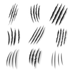 Claws scratches isolated vector wild animal nails rip, tiger, bear or cat paws sherds on white background. Lion, monster or beast break, four claws scratch traces, realistic 3d marks on paper texture