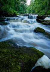 Fototapeta premium waterfall in the forest