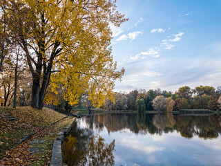 beautiful autumn park scene with lake and yellow trees on the shore 