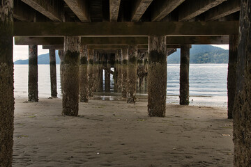 2020-09-01 UNDERNEATH A OLD WOODEN PIER ON PUGET SOUND WASHINGTON