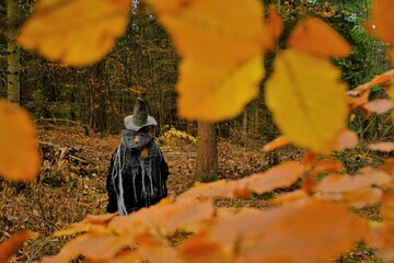 Halloween holiday .witch in green hat and  old cloak in autumn forest.  Sorceress in the autumn...