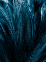 Beautiful abstract pastel blue feathers on dark background, black feather frame texture on blue background, dark feather, black banners