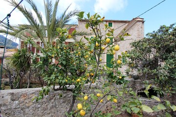 Wandern auf Mallorca