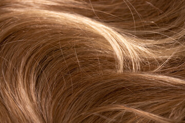 Naklejka premium Background hair light brown closeup. Female long blond hair close-up as a background. Beautifully laid wavy shiny curls.Hair coloring. Hairdressing procedures. Copy space with space for text.
