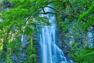 涼しさ満点の真夏の箕面大滝＠大阪