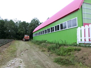 Obraz premium Farm green building in japanese farm
