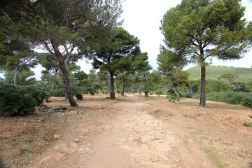 Wandern auf Mallorca