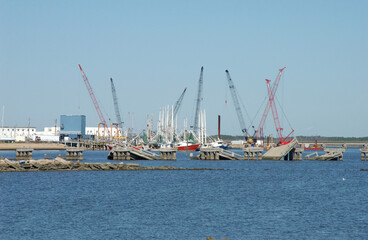 Fototapeta premium cranes working on the waterfront
