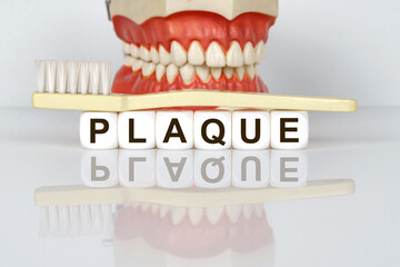 Medical, dental concept. The text is written on the cubes - PLAQUE. In the background is a model of...