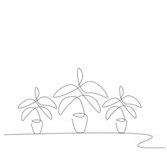 Plant in pot line drawing on white background. Vector illustration