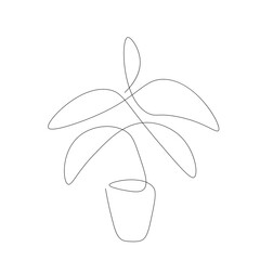 Plant line drawing on white background. Vector illustration