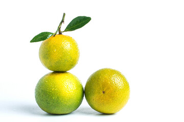 Tangerines on white background