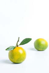 Tangerines on white background