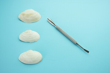 Pusher for nails. Manicure tool on a blue background